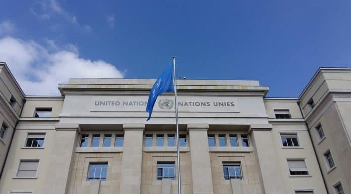 인권위, 유엔 인권조약기구의 40년간 정부 대상 권고 총정리