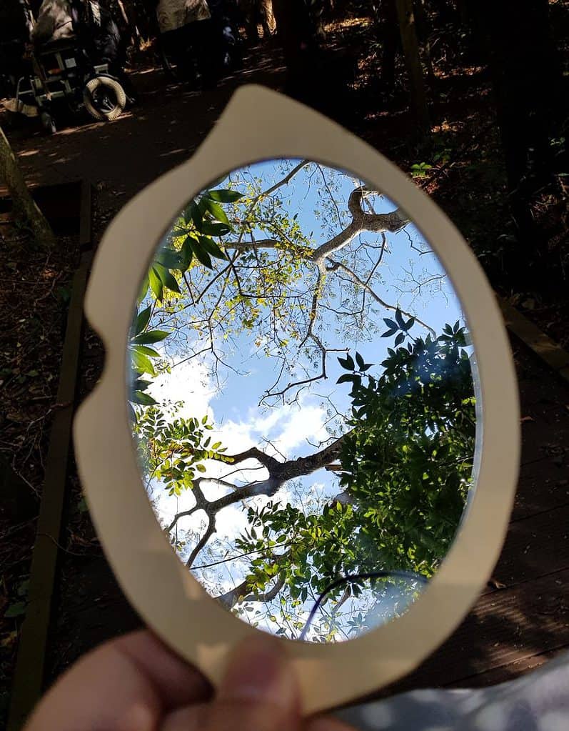 ▲ 거울 속 치유의 숲 ⓒ전윤선